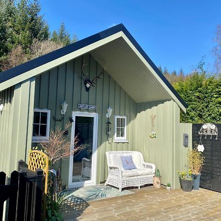 Antler Cabin At Woodlea Spean Bridge Exterior photo